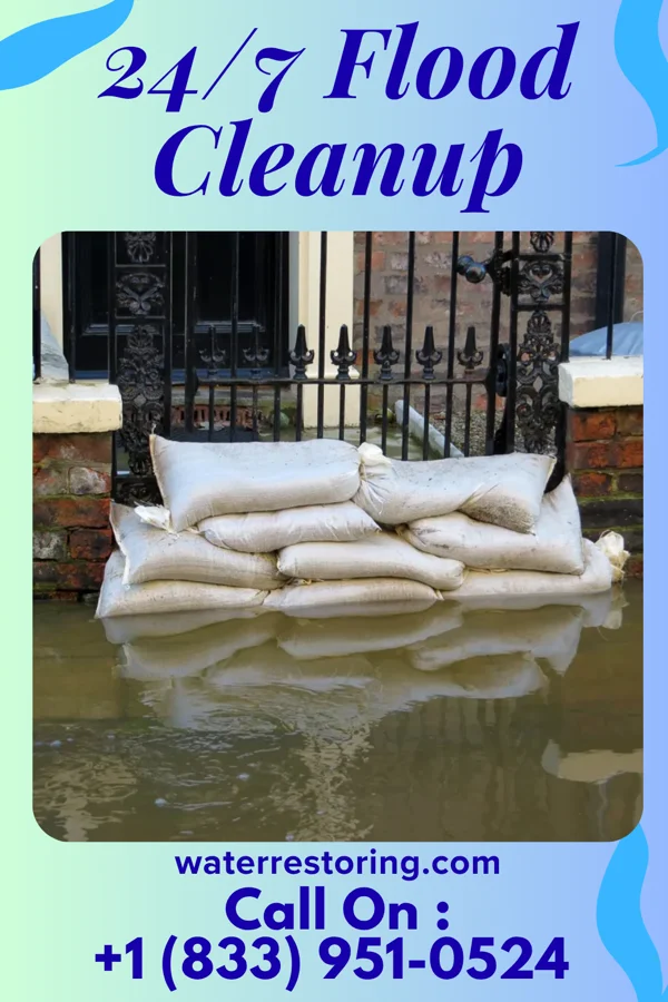 24/7 Flood Cleanup in Sebeka, MN