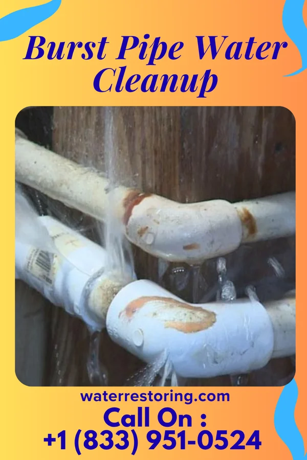 Burst Pipe Water Cleanup in Sebeka, MN