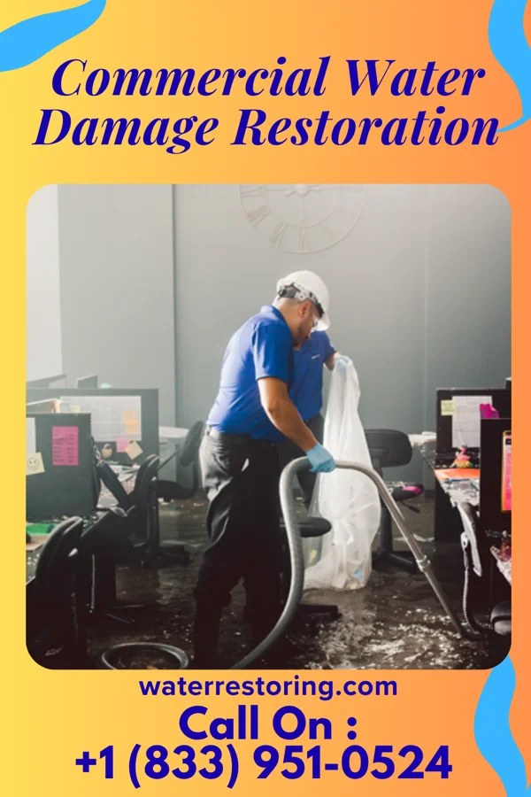 Commercial Water Damage Restoration in Sebeka, MN