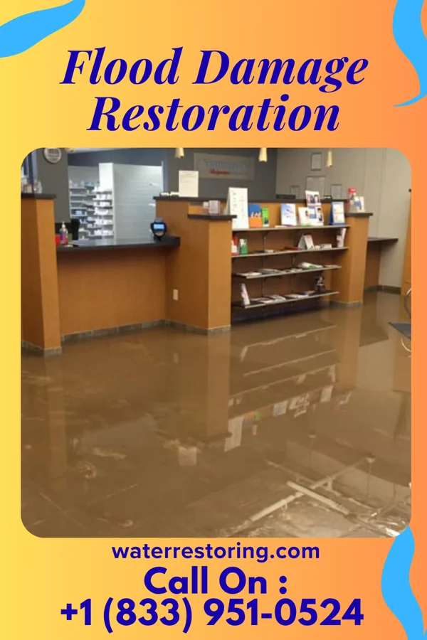 Flood Damage Restoration in Sebeka, MN