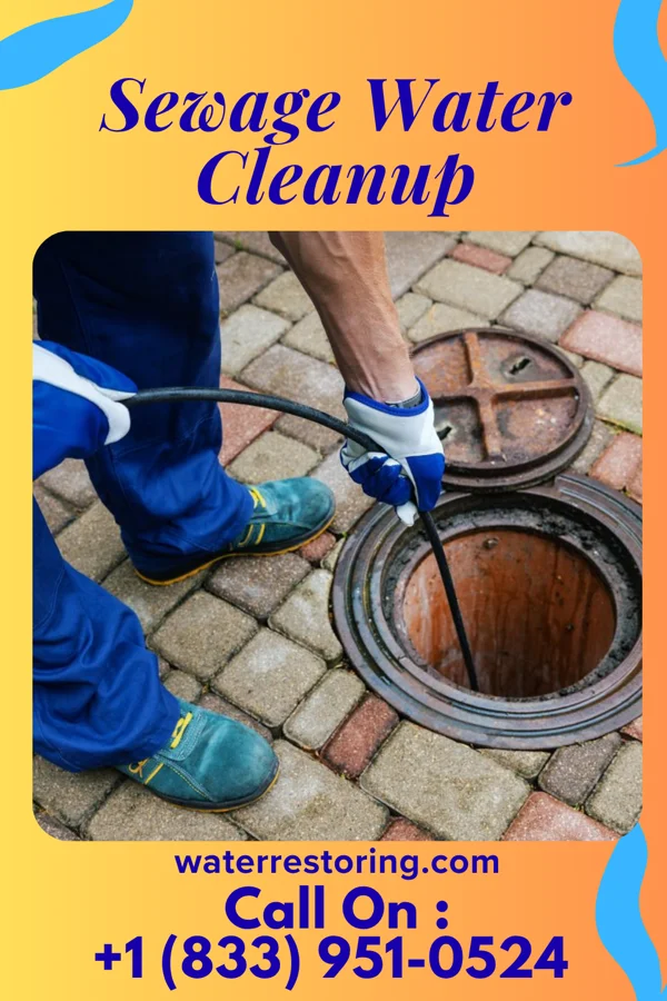 Sewage Water Cleanup in Sebeka, MN